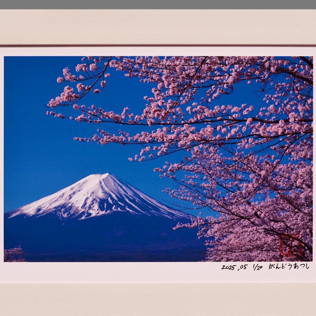 ●『桜と富士山』●がんどうあつし写真撮影・編集落款サイン入り20枚限定A4額装品