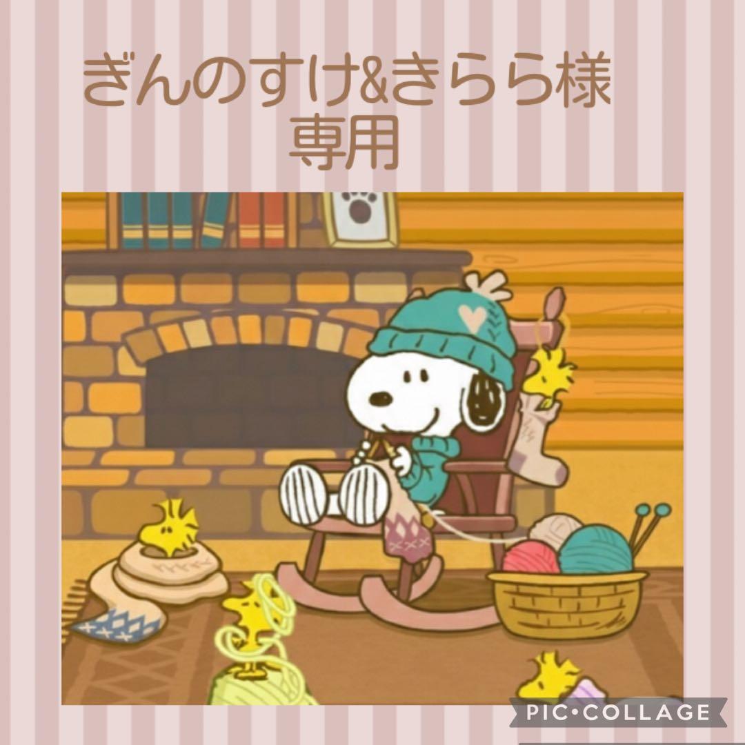 ユキエモン冬支度 色✤ダブルファスナークリアポケットポーチ