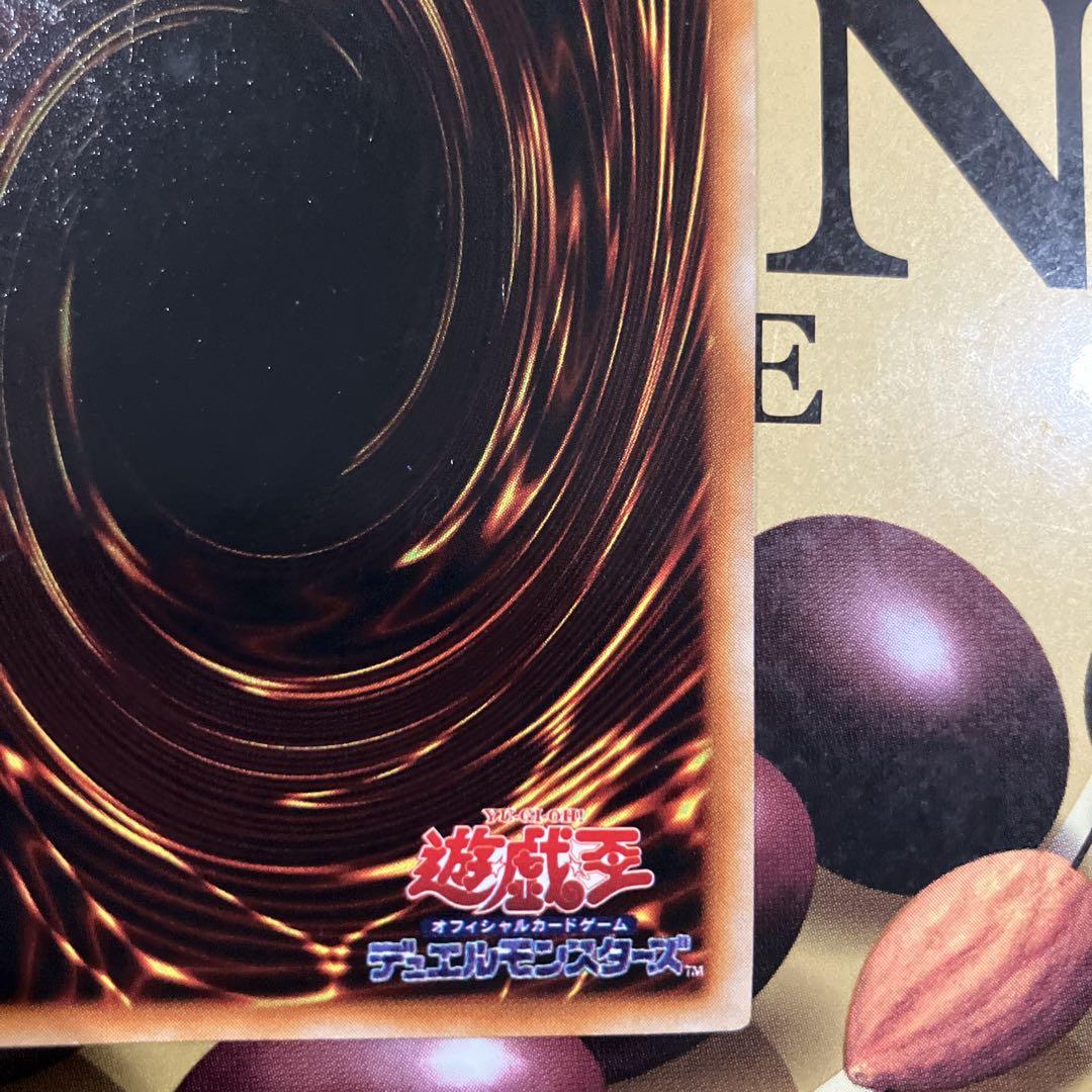 遊戯王　初期　レッドアイズ・ブラックメタルドラゴン