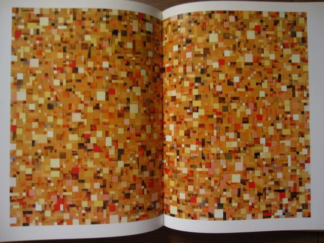 Fred Tomaselli　フレッド・トマセリ
