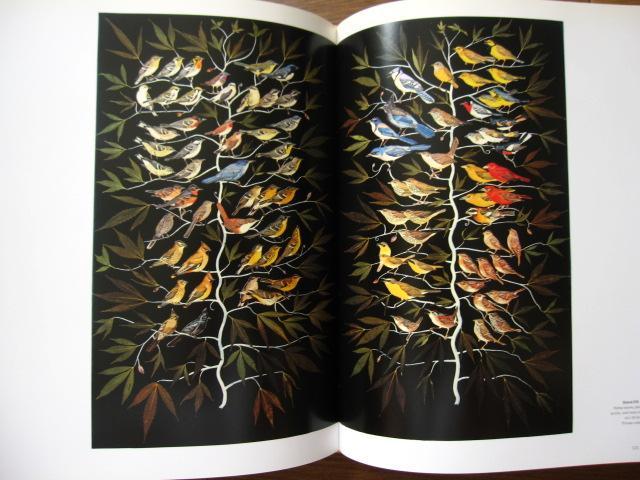 Fred Tomaselli　フレッド・トマセリ