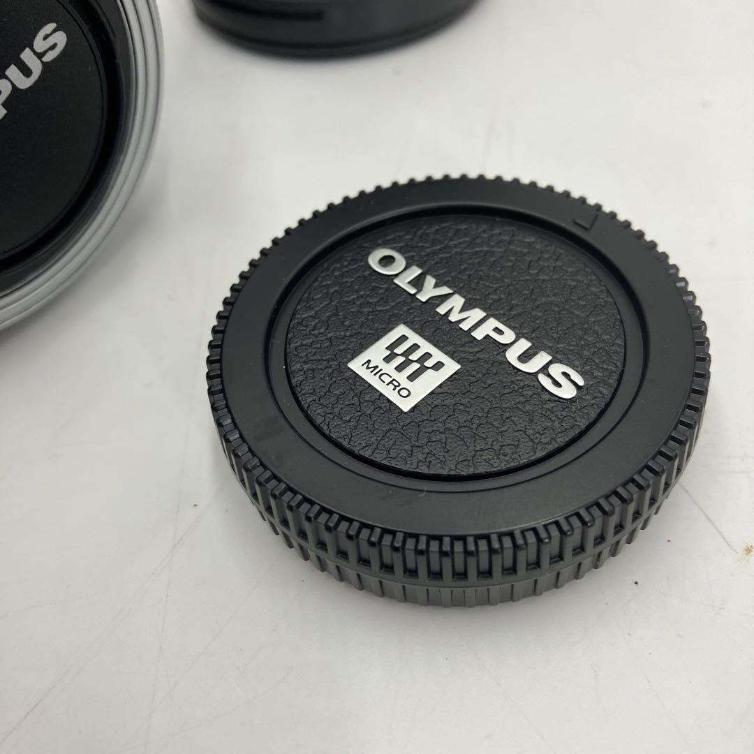 超美品　OLYMPUS OM-D E-M10 ミラーレス一眼 標準レンズ付属