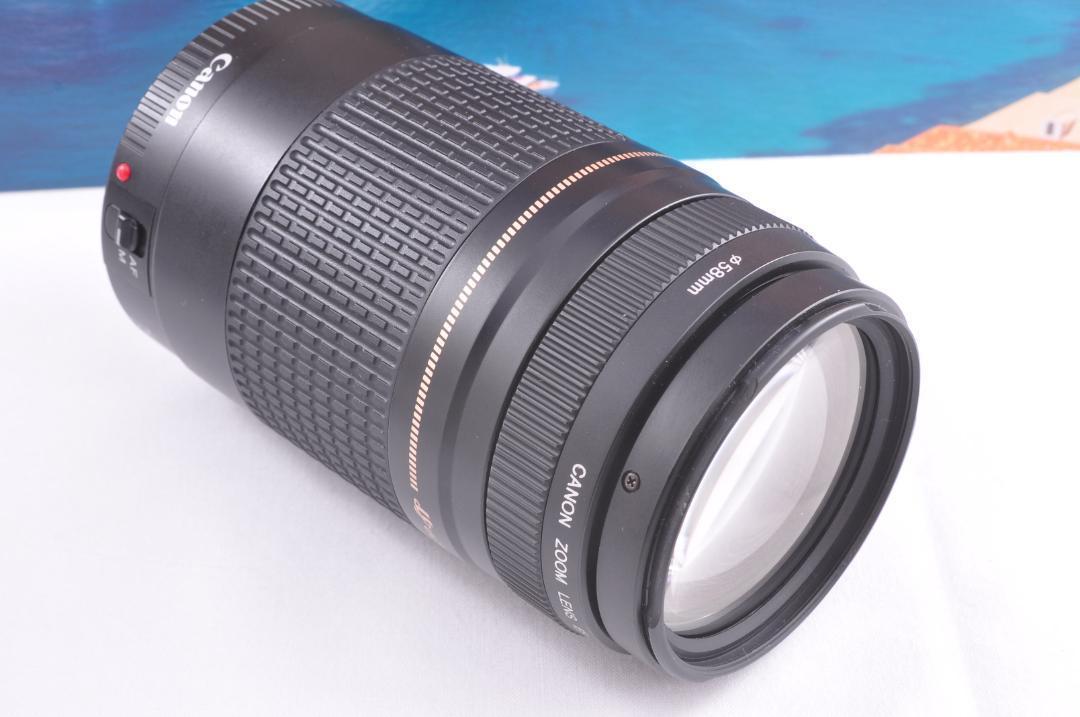 大切な記録を望遠レンズで！Canon キヤノン EF75-300mm #3