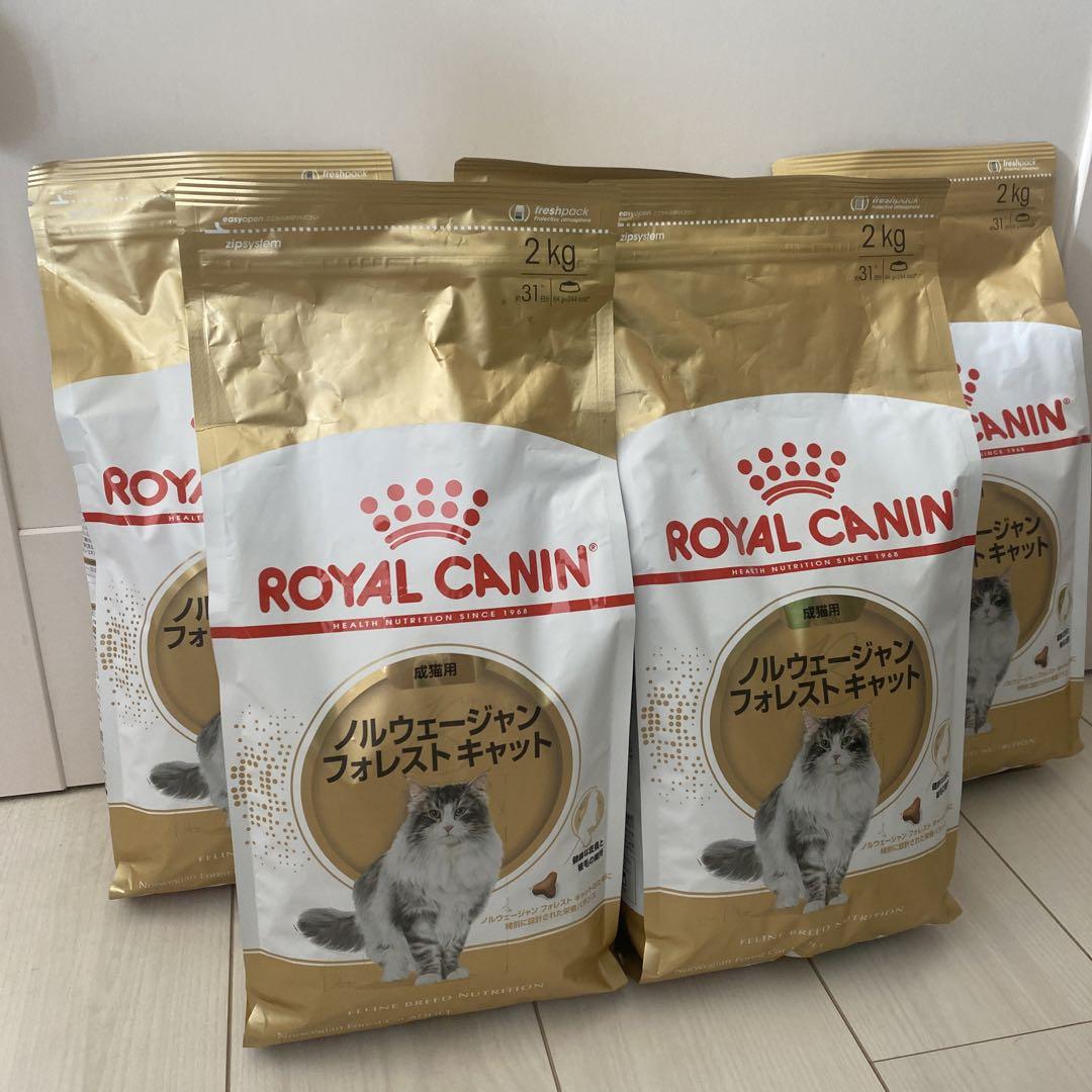 ロイヤルカナン　ノルウェージャンフォレストキャット　2kg4袋　バラ売り可能