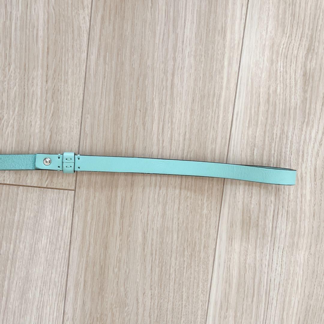 Tiffany & Co. ティファニー 首輪 カラー リード リーシュ 犬　S