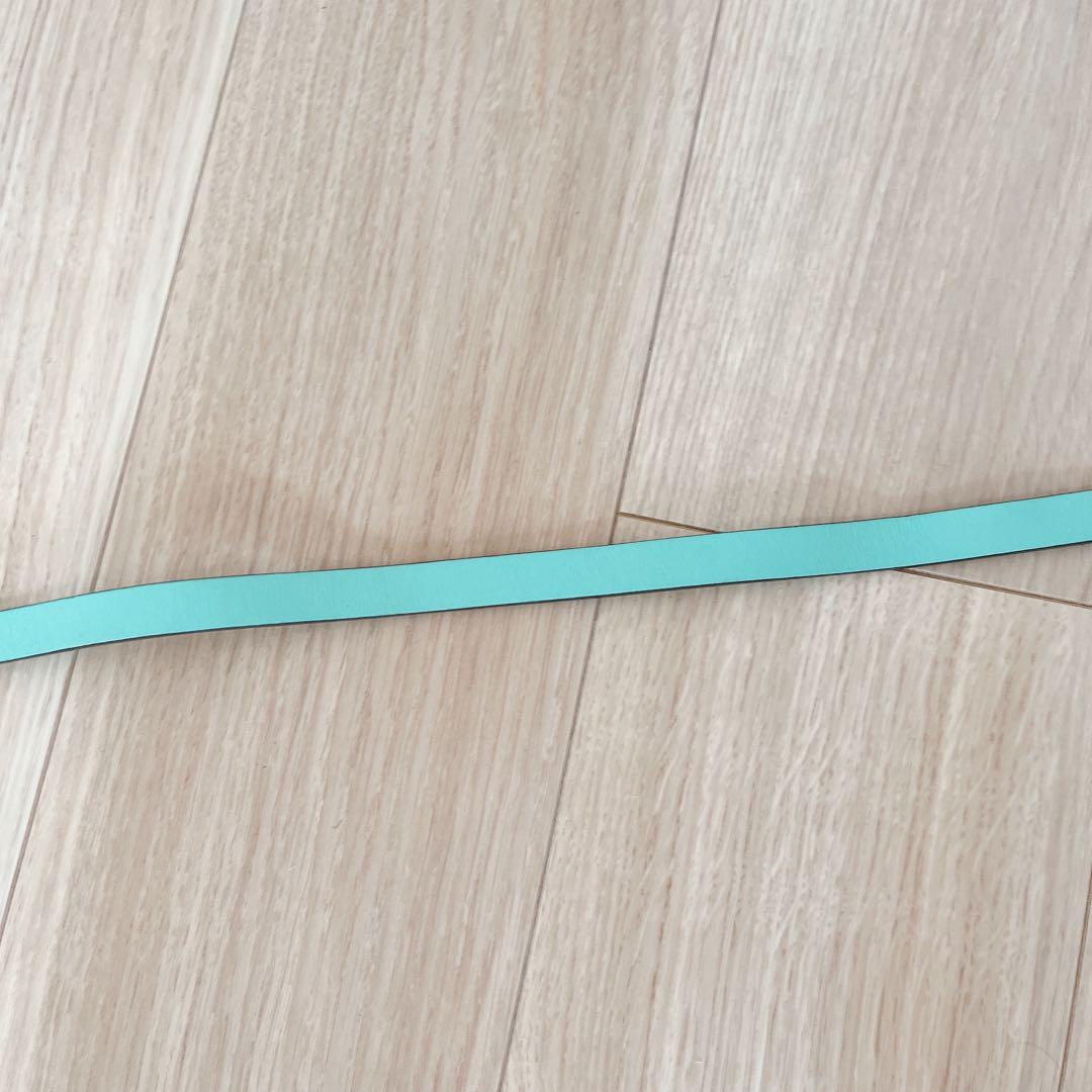 Tiffany & Co. ティファニー 首輪 カラー リード リーシュ 犬　S