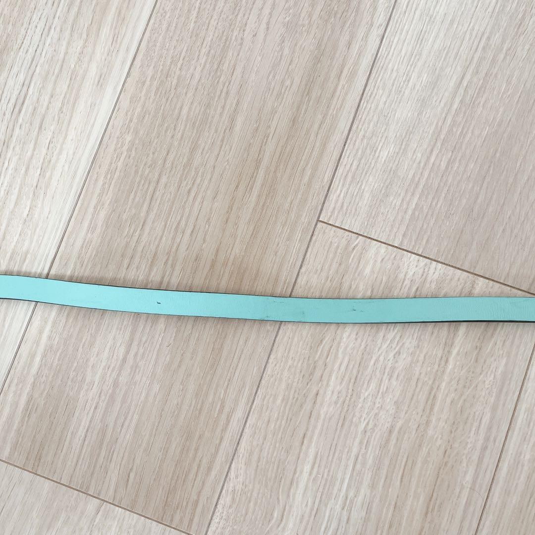 Tiffany & Co. ティファニー 首輪 カラー リード リーシュ 犬　S