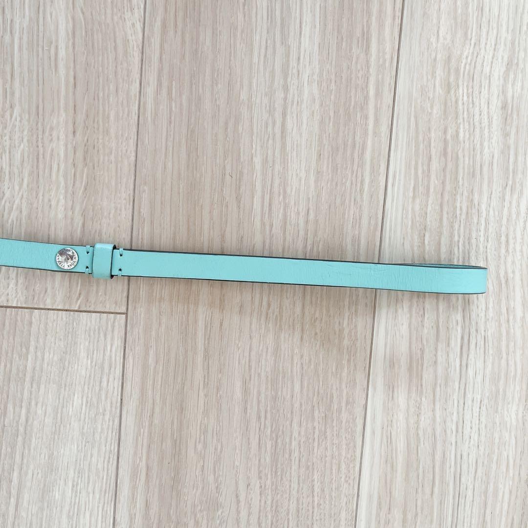 Tiffany & Co. ティファニー 首輪 カラー リード リーシュ 犬　S