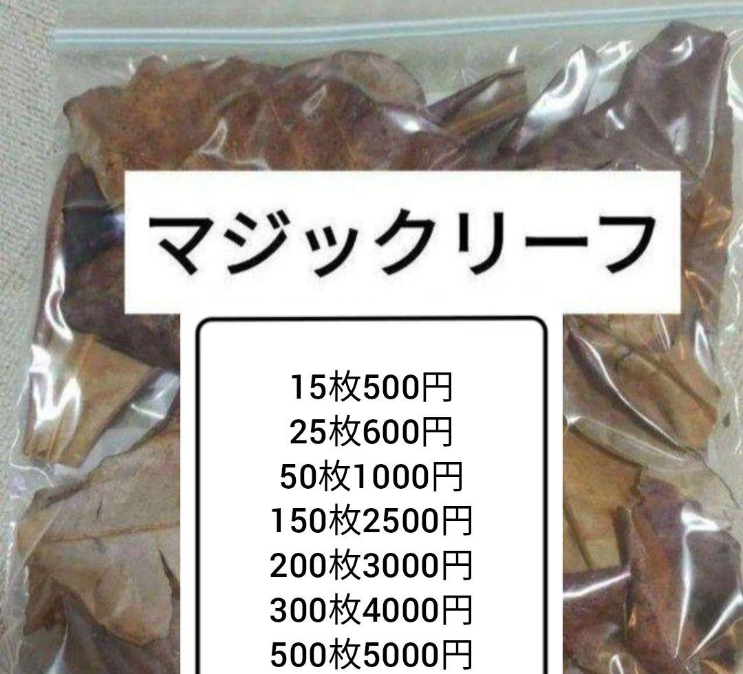 大小様々　無農薬マジックリーフ　天然ももたまな葉　　枚 大小様々 無農薬マジックリーフ 天然ももたまな葉 500枚 - 水質