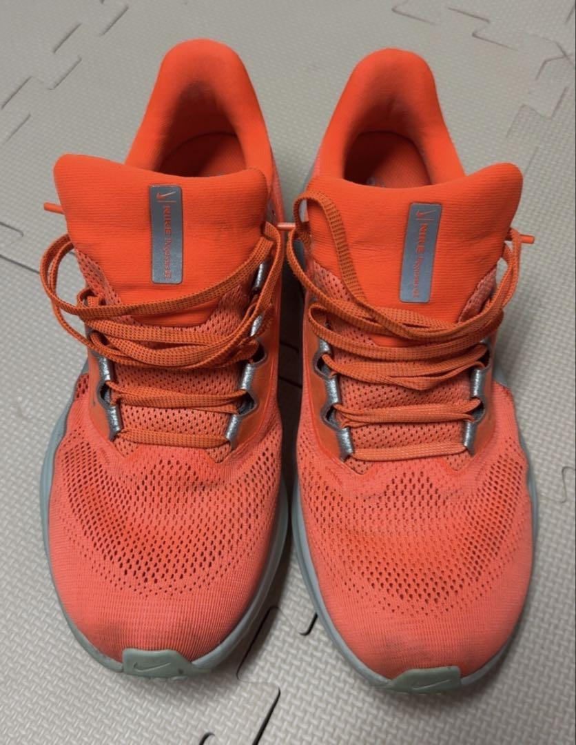 NIKE ペガサス41