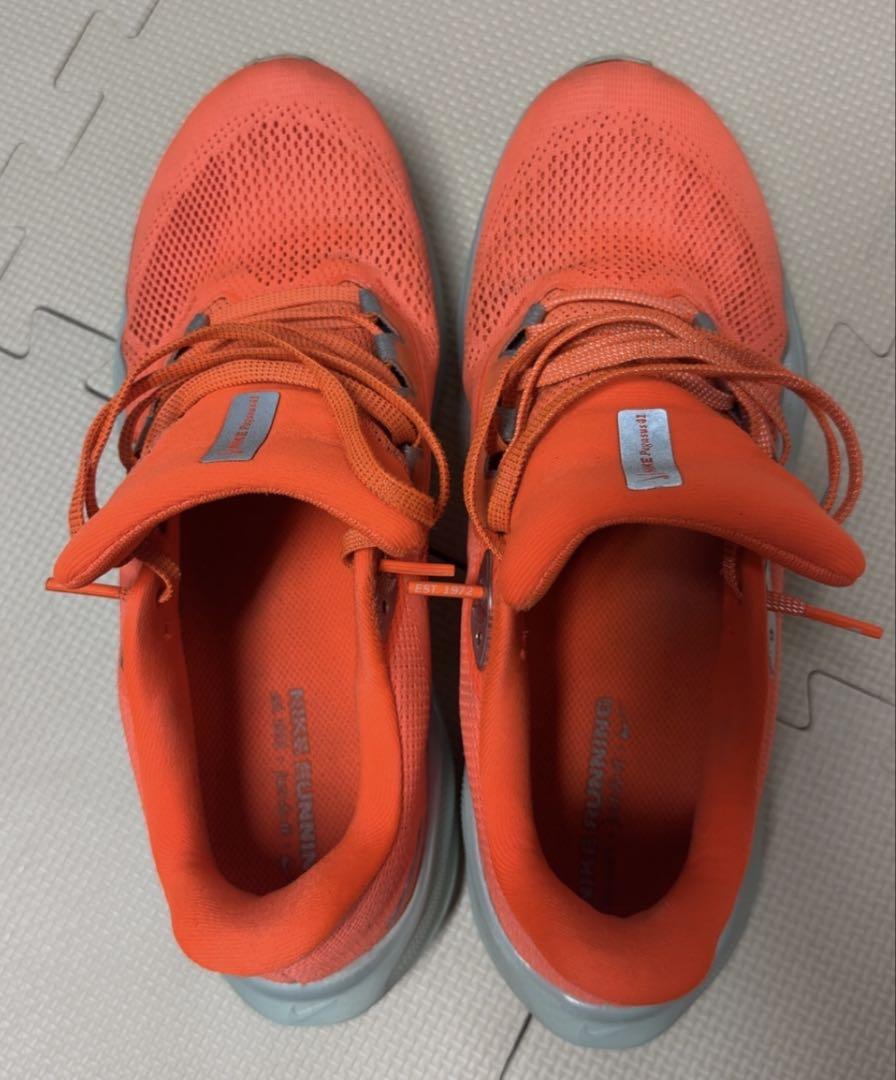 NIKE ペガサス41