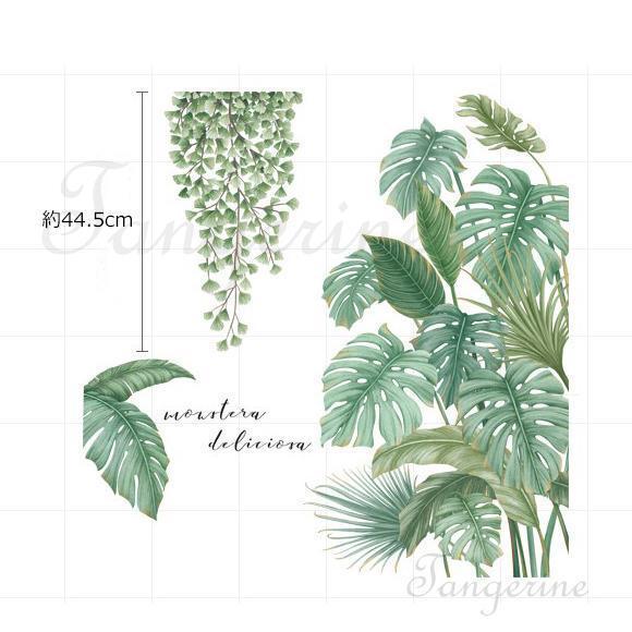 ウォールステッカー モンステラ 熱帯植物 植物 木 北欧 緑 壁紙 シール Q メルカリ