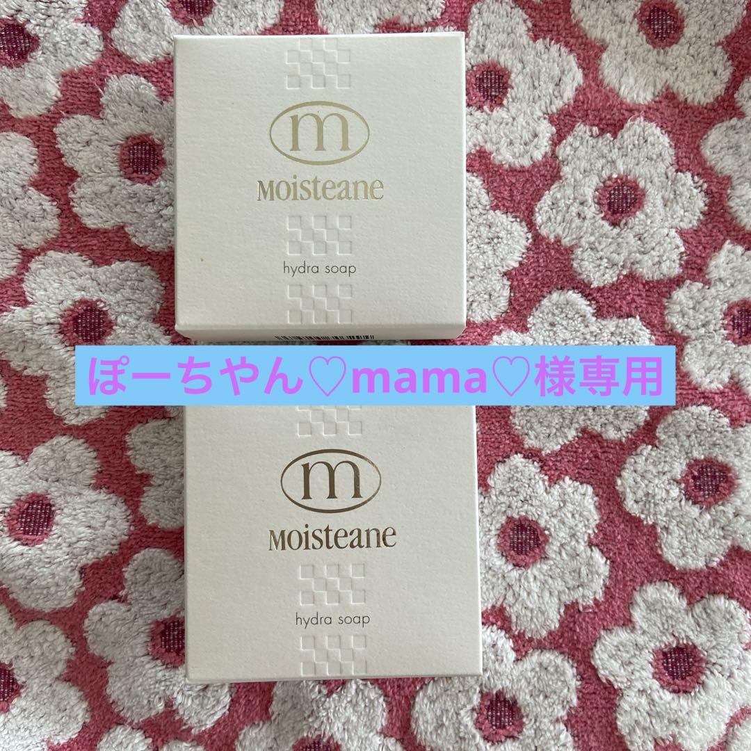 モイスティーヌ　ヒドラーソープ×2　専用ネット×2 モイスティーヌ 3点セット