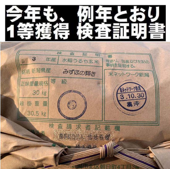 100%新品低価 新米 色彩選別済白米5㌔×4個 幻の農家専用011 rwaie-m39090380777 令和3年産新潟みずほの輝き 定番低価