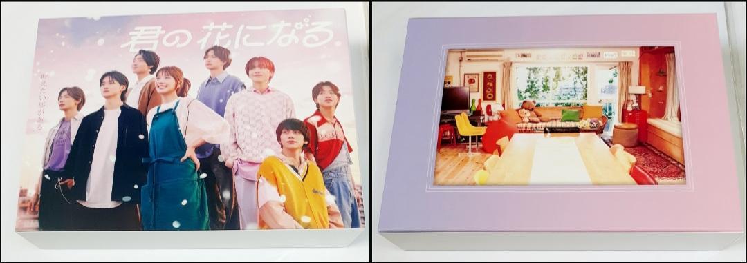 火曜ドラマ『君の花になる』／DVD-BOX（TBSオリジナル特典付き