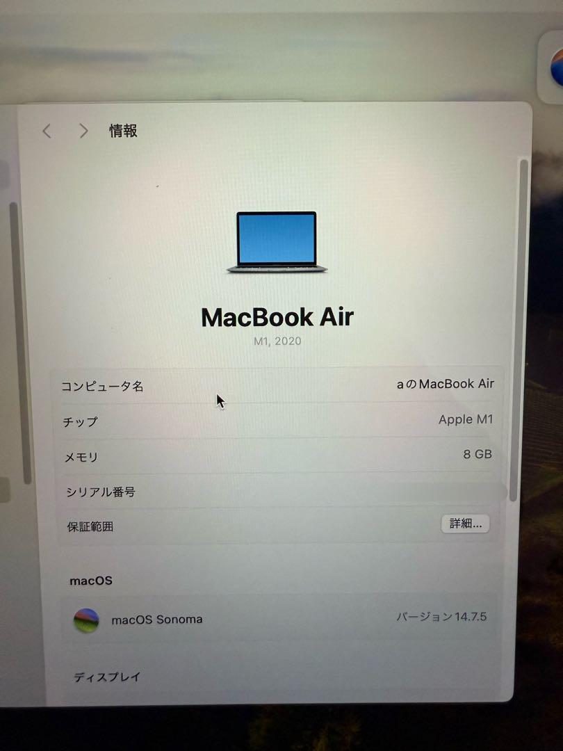 MacBook本体 Apple MacBook Air MGN63J/A