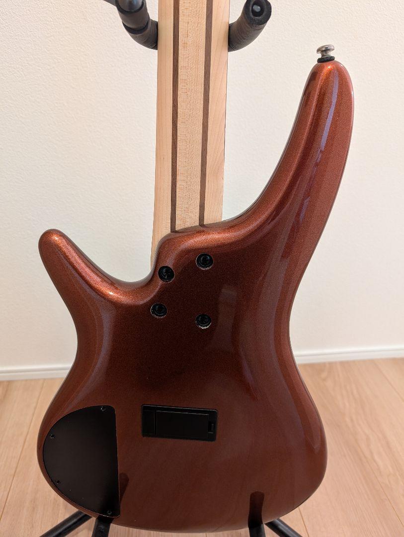 Ibanez ( アイバニーズ ) SR305E RBM 5弦ベース