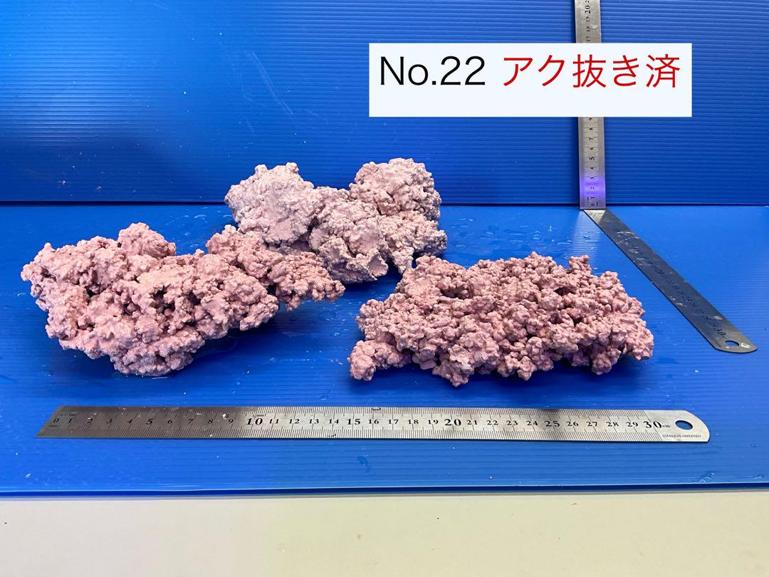 人工ライブロック　3個　No.22   アク抜き済