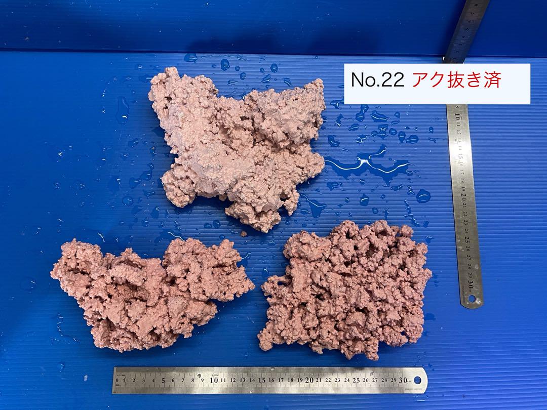 人工ライブロック　3個　No.22   アク抜き済
