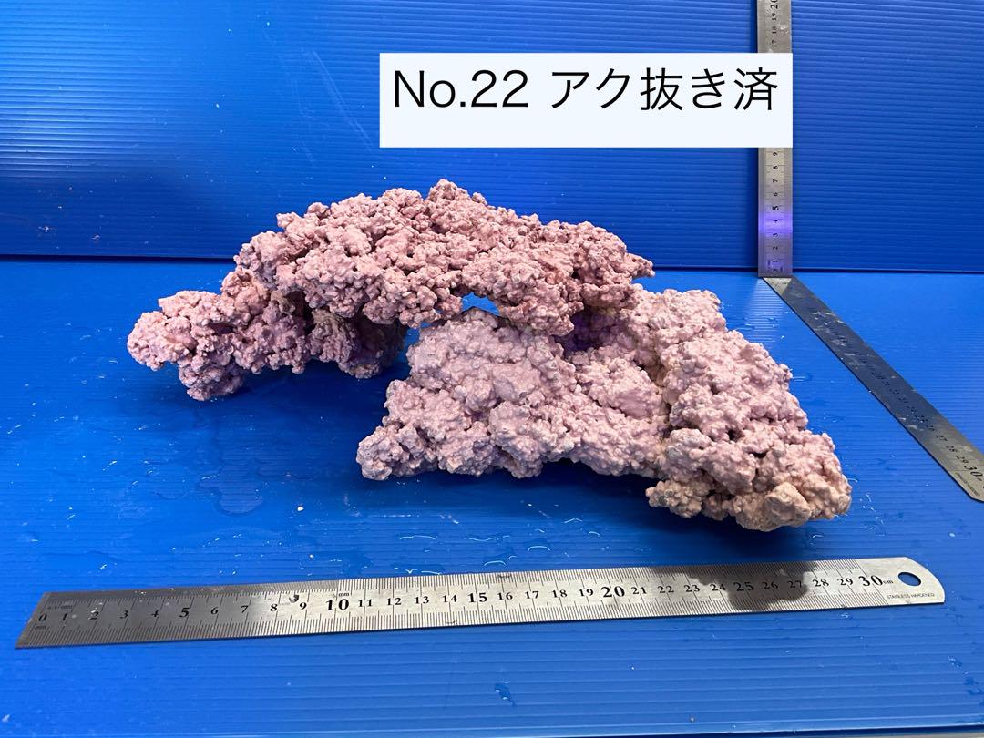 人工ライブロック　3個　No.22   アク抜き済