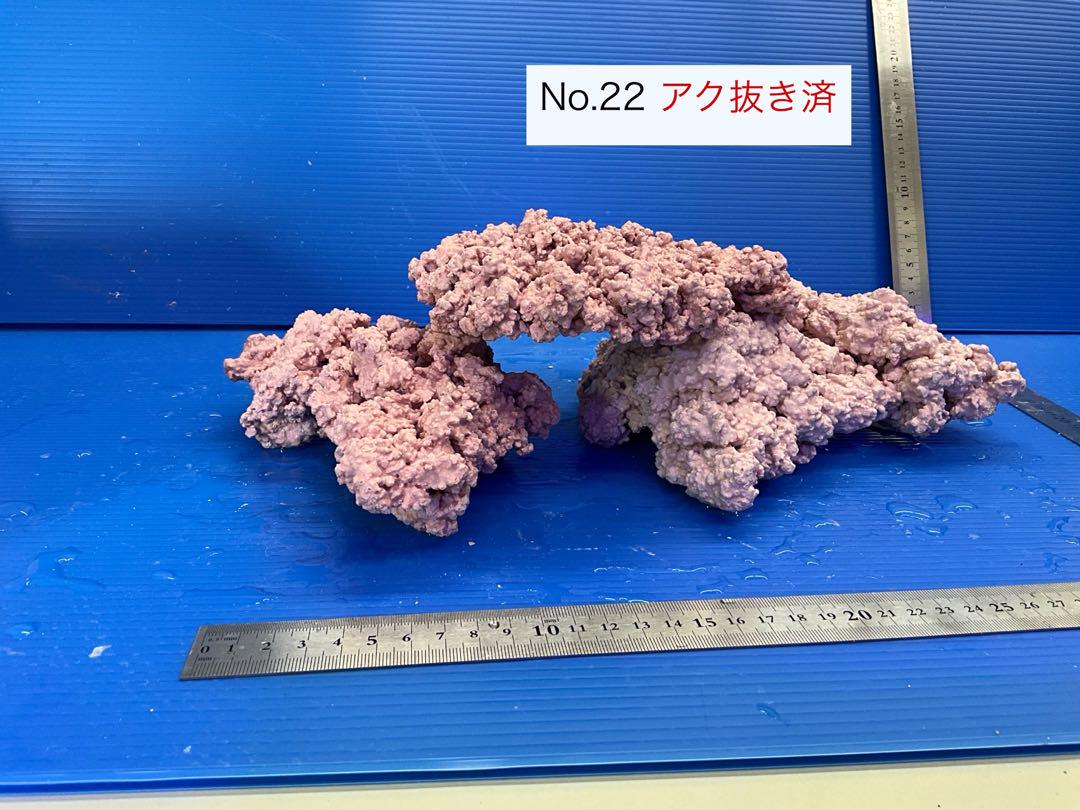 人工ライブロック　3個　No.22   アク抜き済
