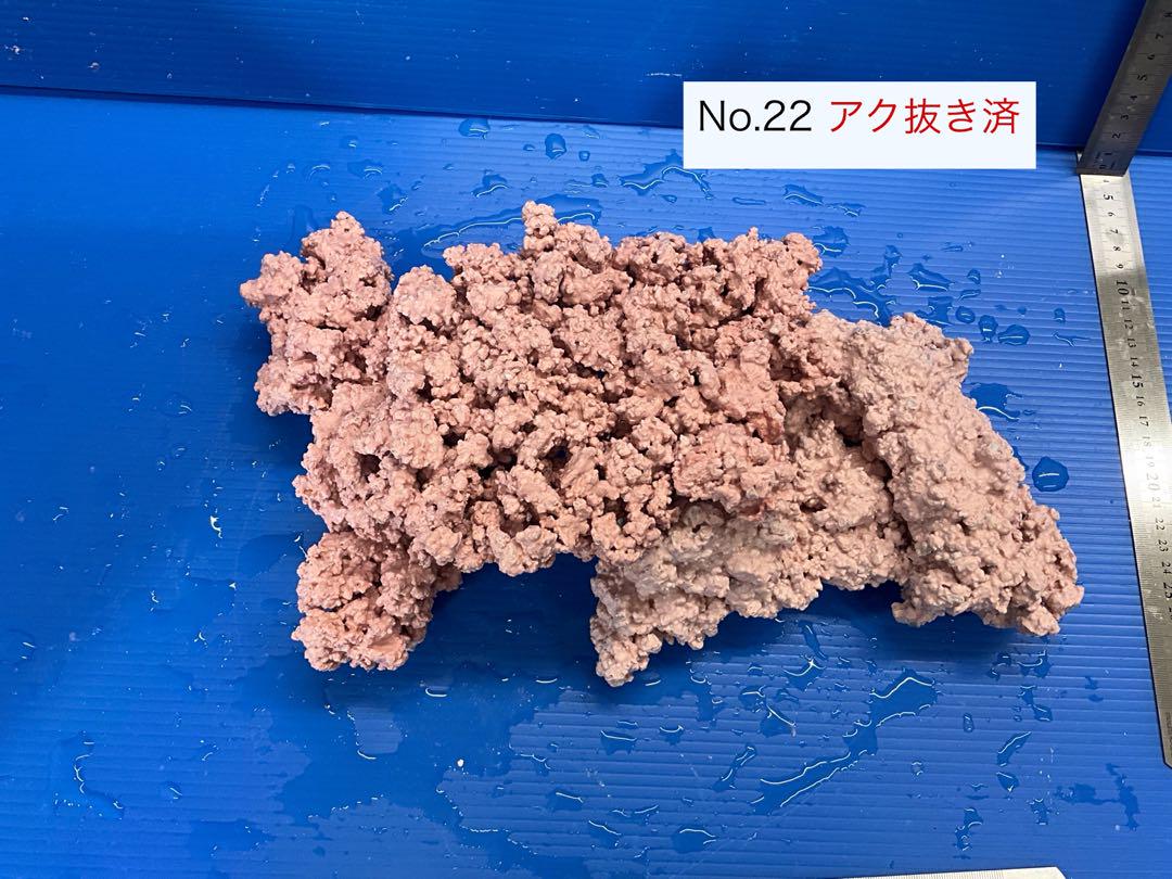 人工ライブロック　3個　No.22   アク抜き済