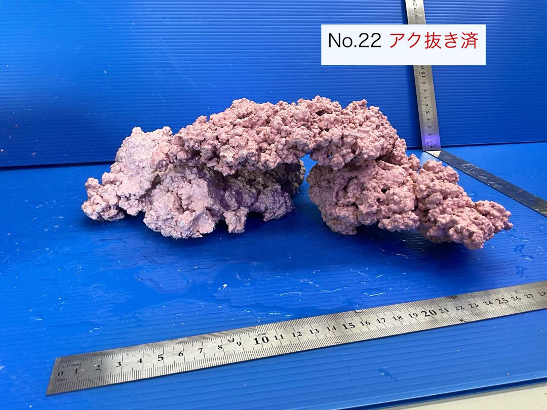 人工ライブロック　3個　No.22   アク抜き済