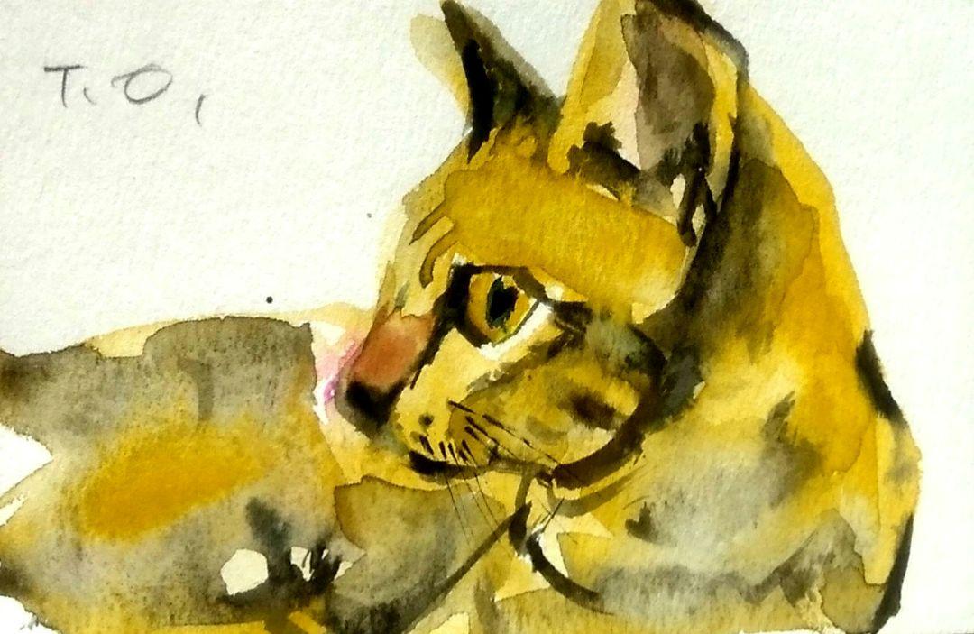 No2261ドローイング水彩画横猫原画 - メルカリ