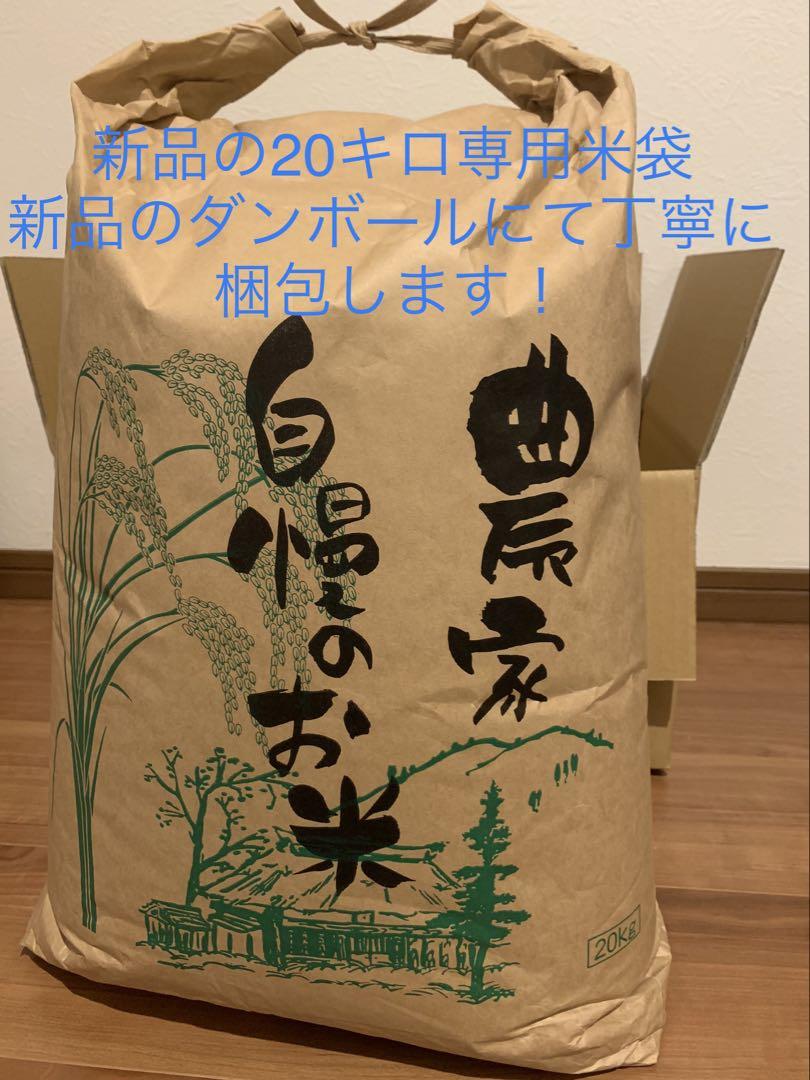 玄米20キロ【農家直送！】新潟県産こしいぶき　特別栽培米　6年産　低温冷蔵