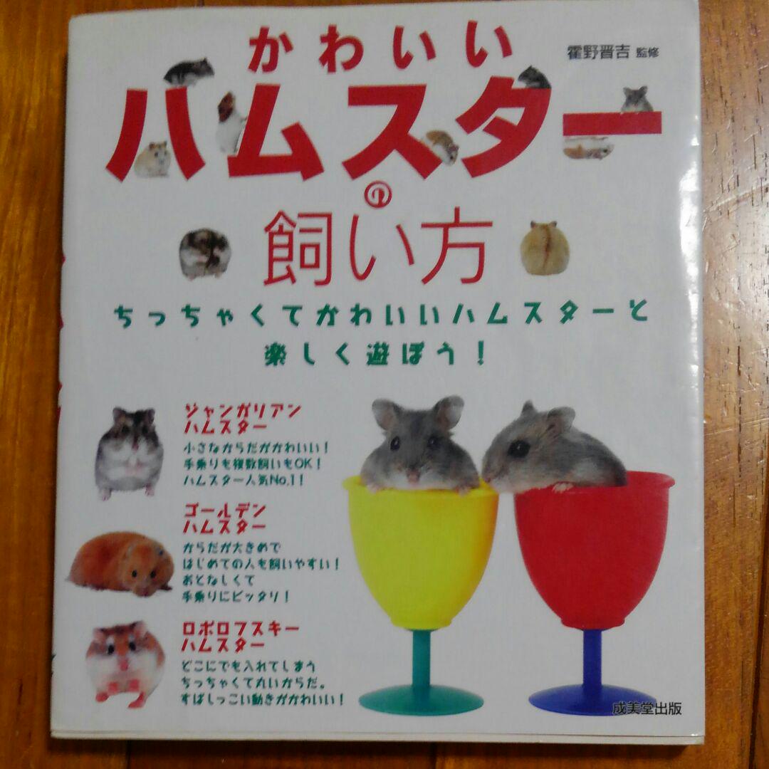 メルカリ かわいいハムスターの飼い方 住まい 暮らし 子育て 699 中古や未使用のフリマ メルカリ かわいいハムスターの飼い方 住まい 暮らし 子育て 699 中古や未使用のフリマ