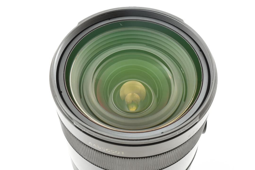 ソニー Vario-Sonnar T* 24-70mm F2.8 ZA SSM 画像12