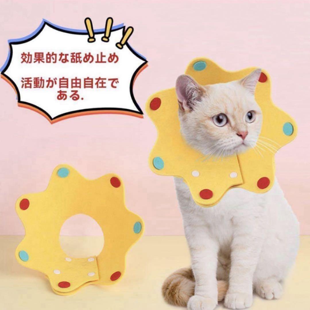 犬