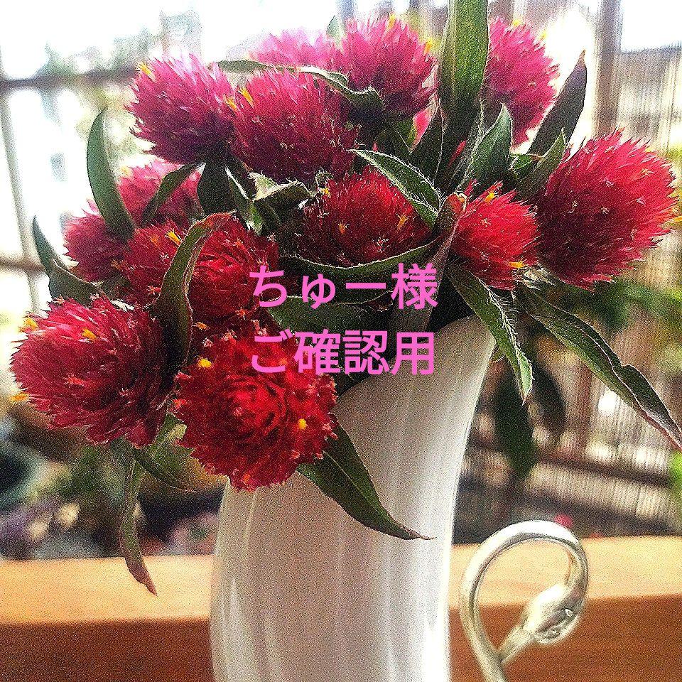 ちゅー様ご確認用です✨