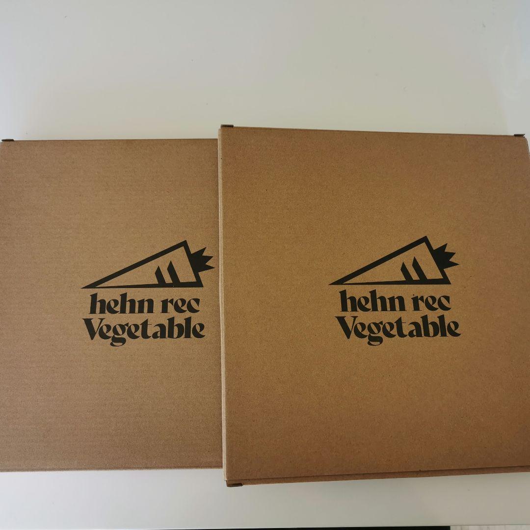 藤井風 Happy Veggie Curry ステンレスプレート 2枚