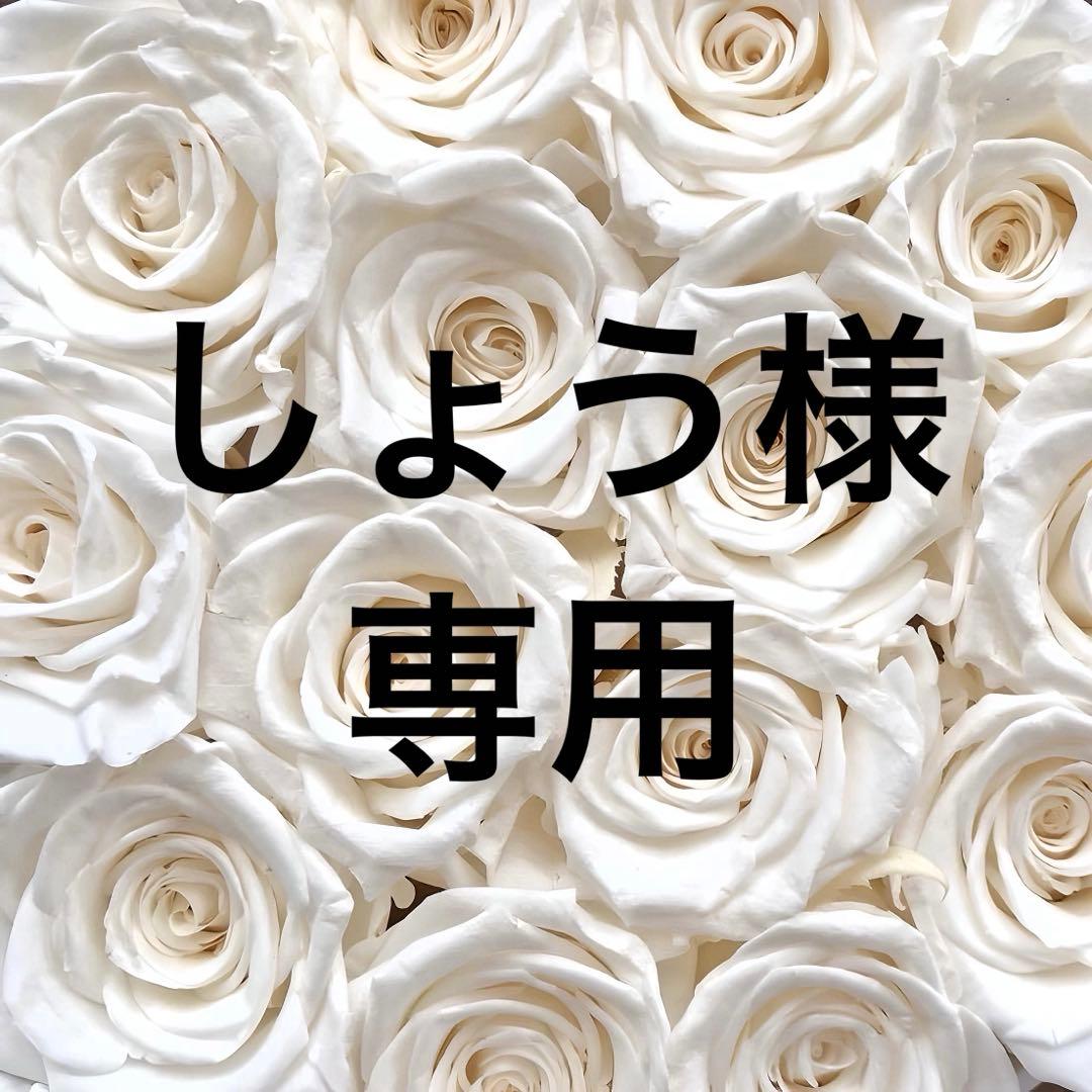 しょうか様専用 カラム様！専用消火器 モリタ宮田工業 消火器｜モリタ宮田工業株式会社