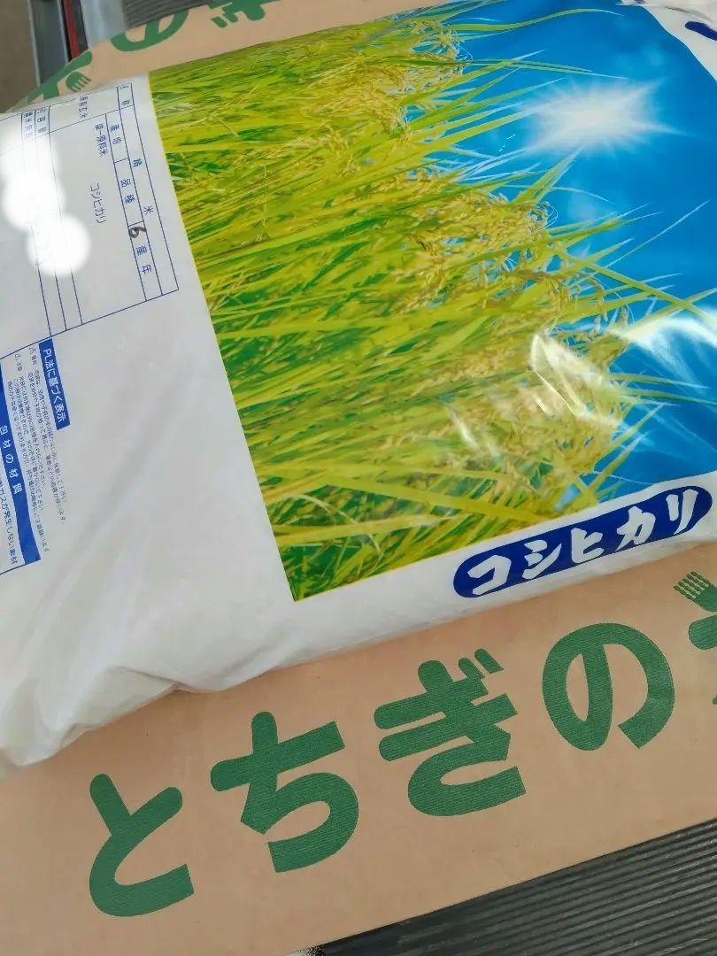栃木県産 令和６年産コシヒカリ 10kg