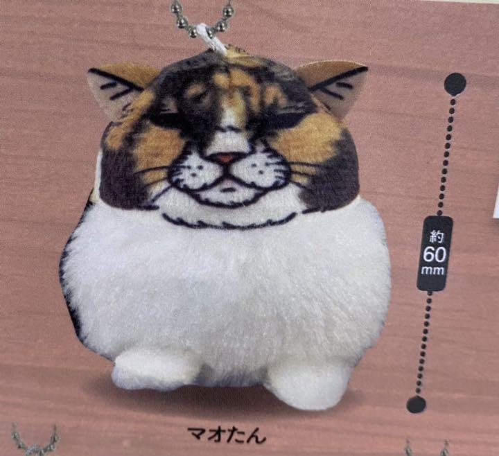 Amazon.co.jp: ガチャガチャネコ人形 世にも不思議な猫物語 ぽっ