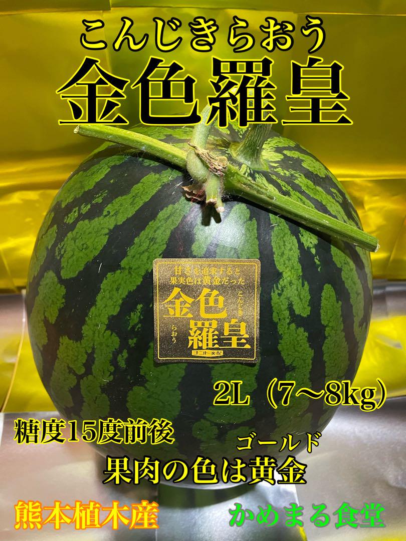 激甘！金色羅皇 熊本産 スイカMサイズ1玉5〜6k かめまる食堂