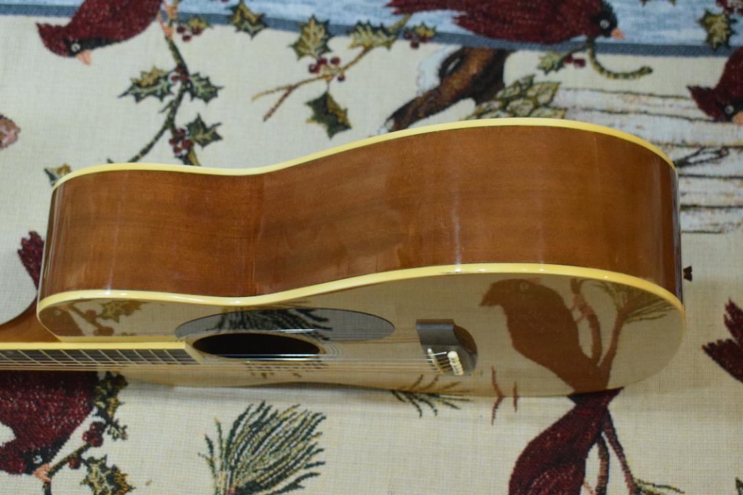 Sepia Crue FG-1N アコースティックギター【音出しOK】