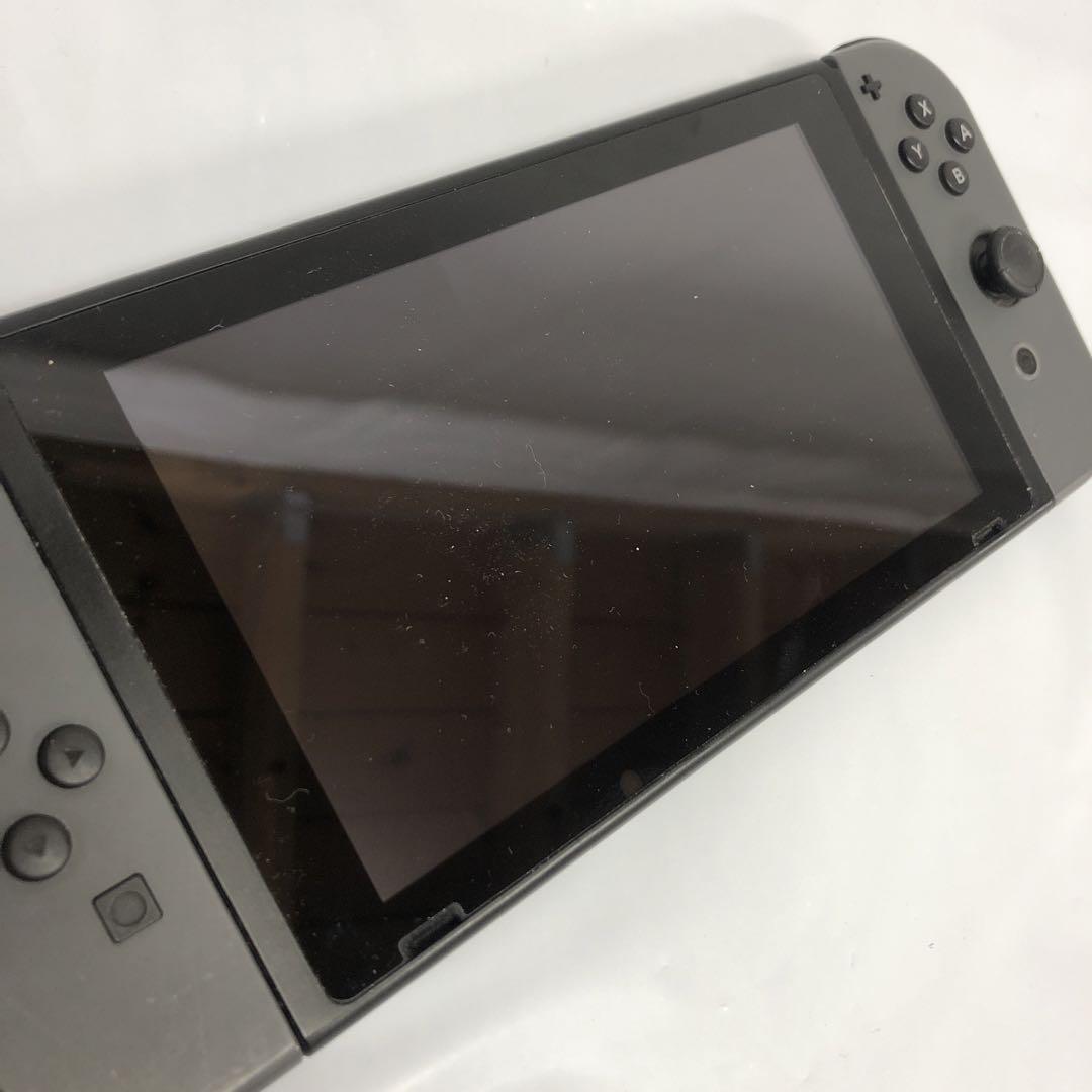 RE5056C Nintendo Switch 旧型 グレー