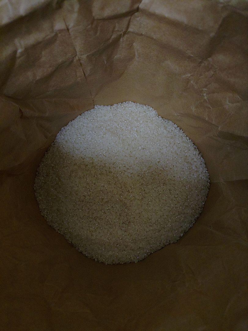 新米 熊本県産 ヒノヒカリ 30kg