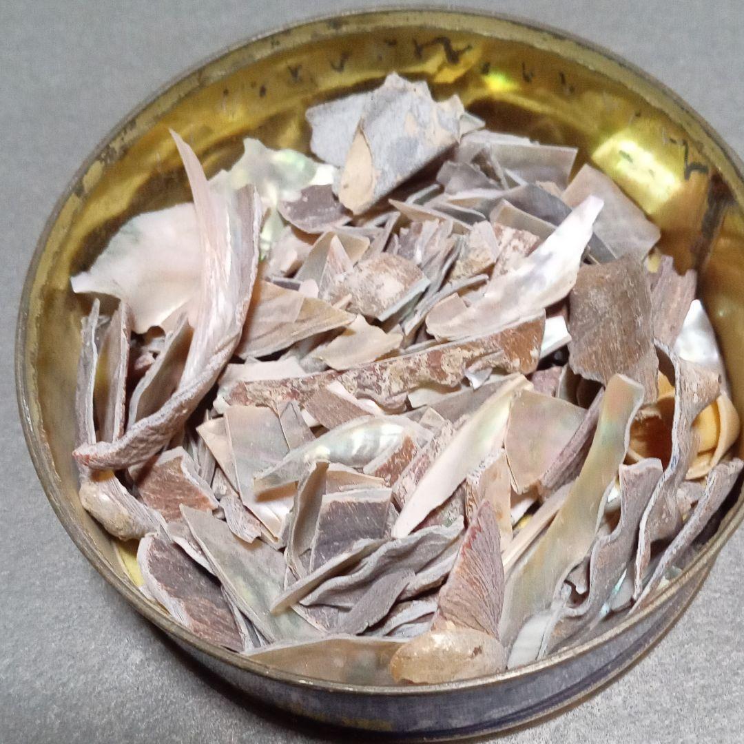 螺鈿貝　螺鈿細工　漆工芸