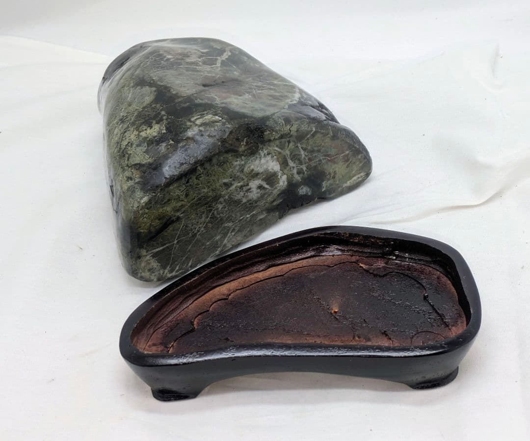 菊花石 モスグリーン母岩に珍しい花17輪ほど