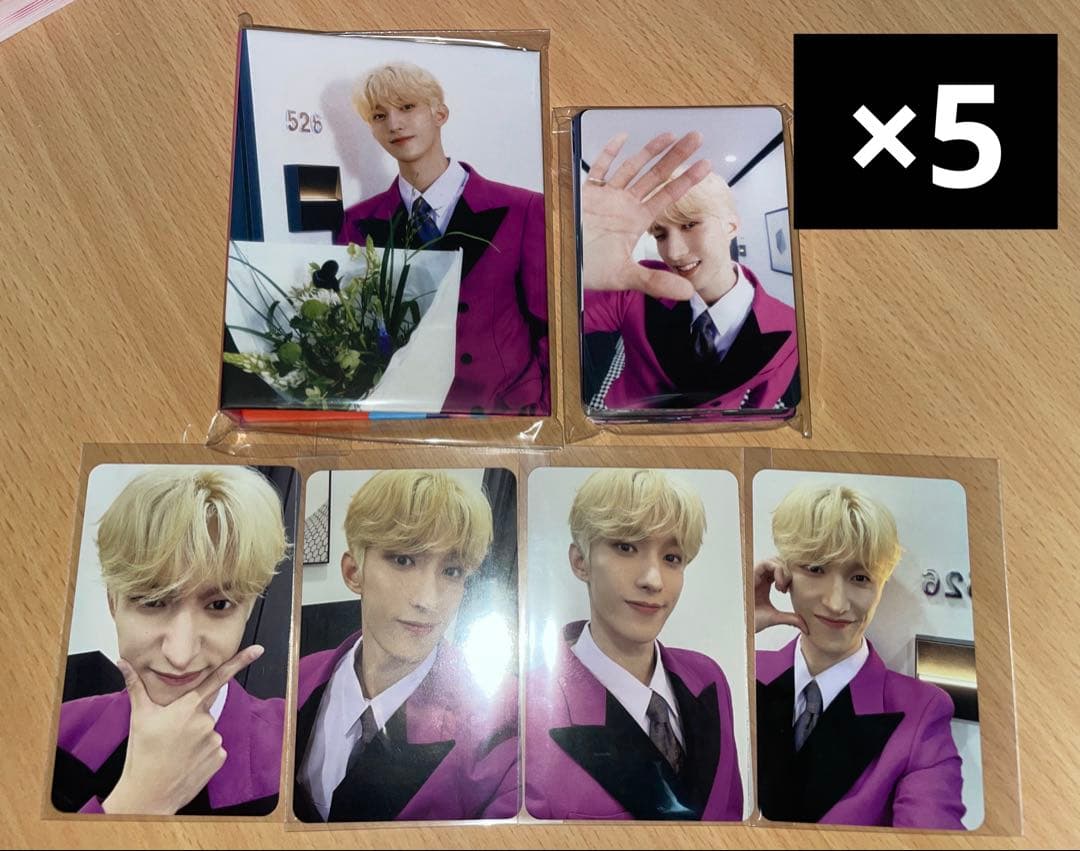 seventeen CARAT バインダー 24枚トレカ コンプ ドギョム