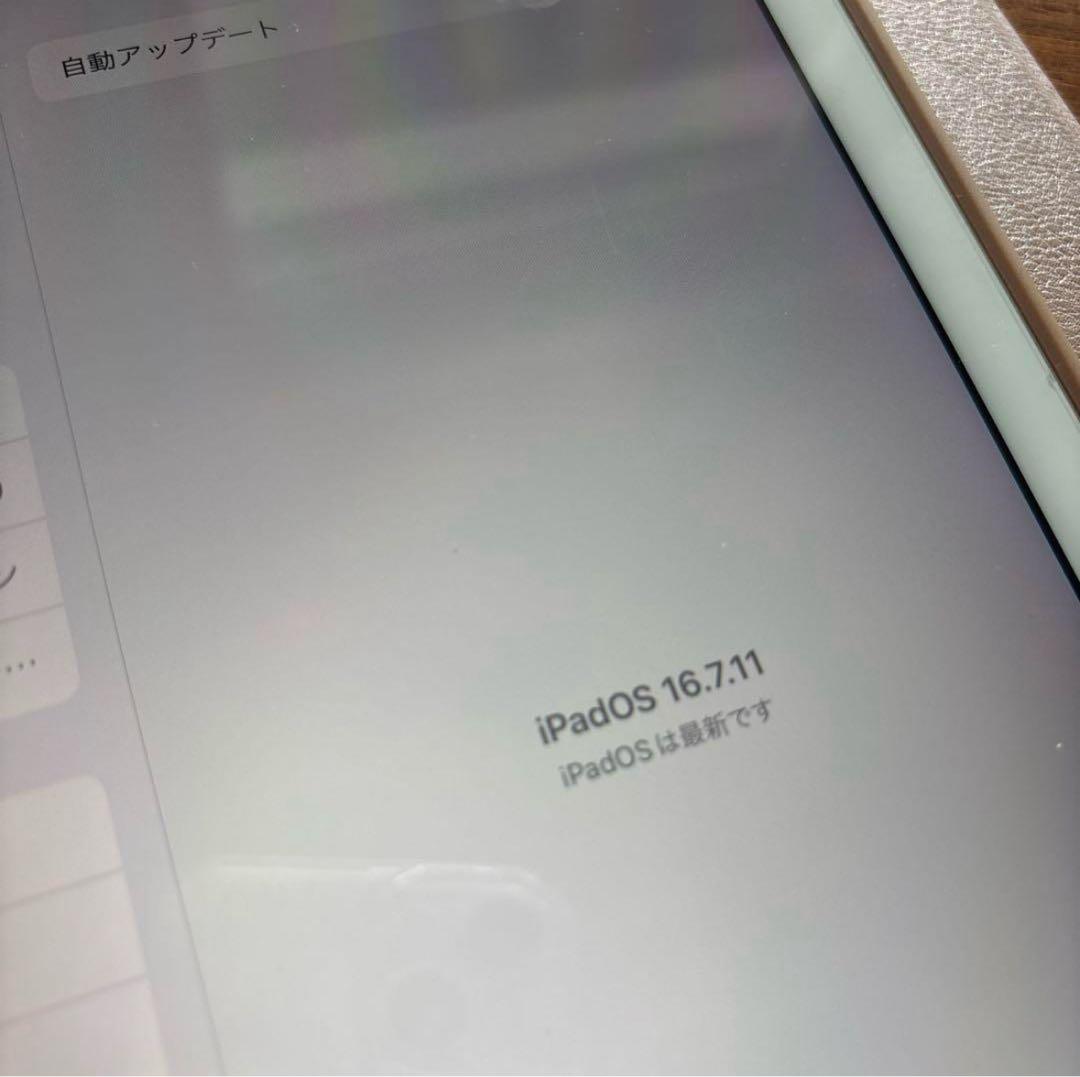 【最終価格！早い者勝ち】Apple iPad Pro 9.7インチ