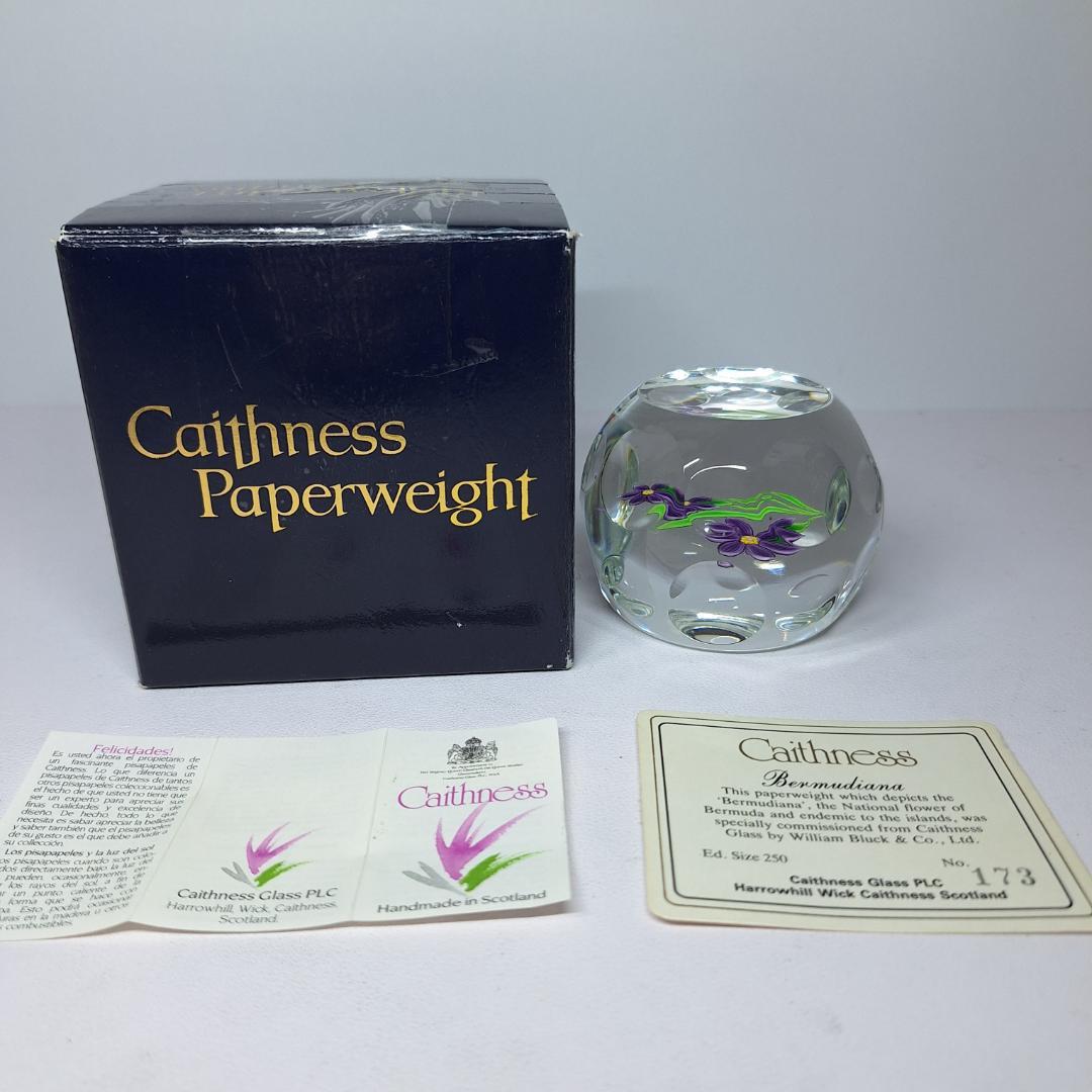 ケイスネス ペーパーウェイト バミューダフラワー Caithness