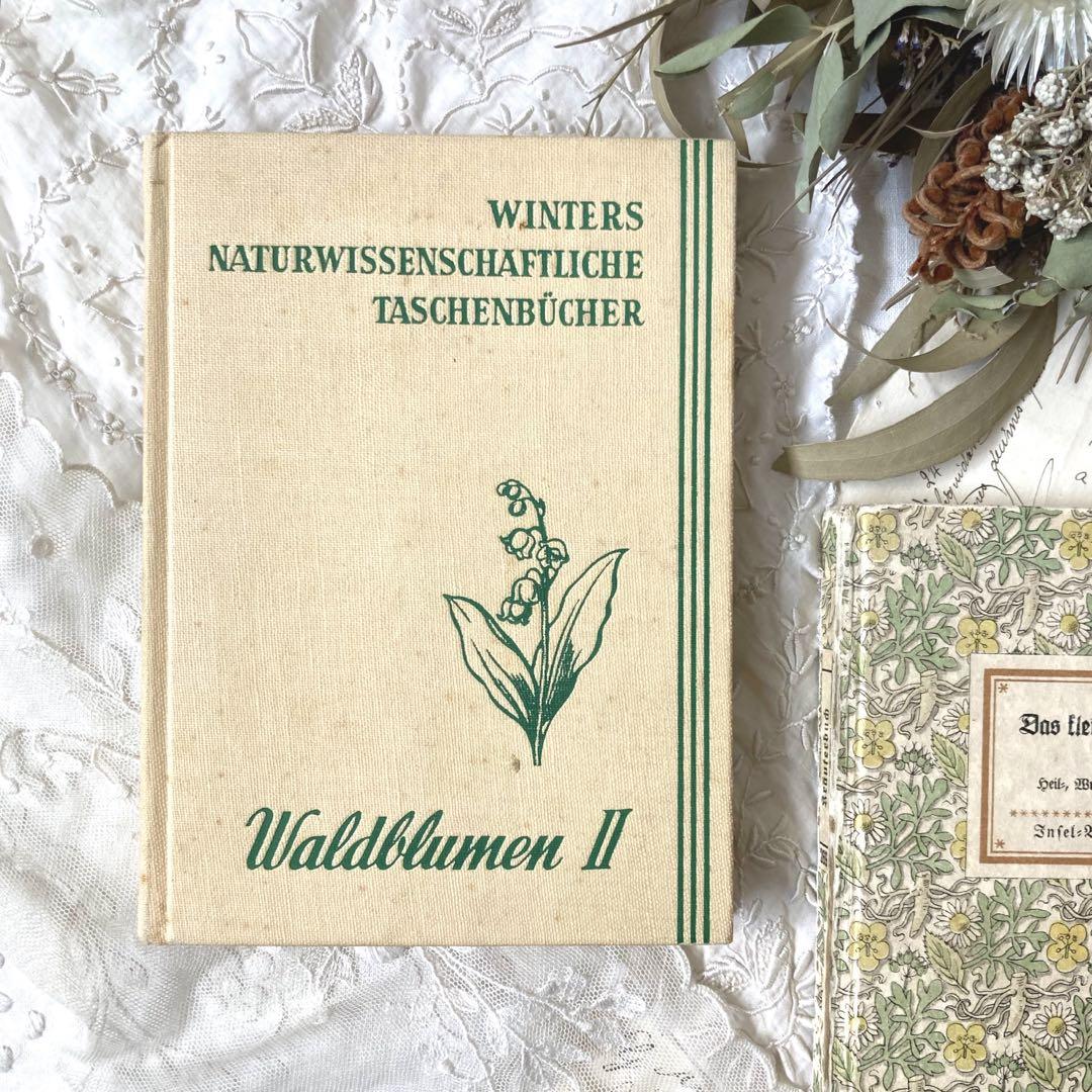 美品】1995年 お洒落なフランスの植物図鑑 洋書 古書【希少】