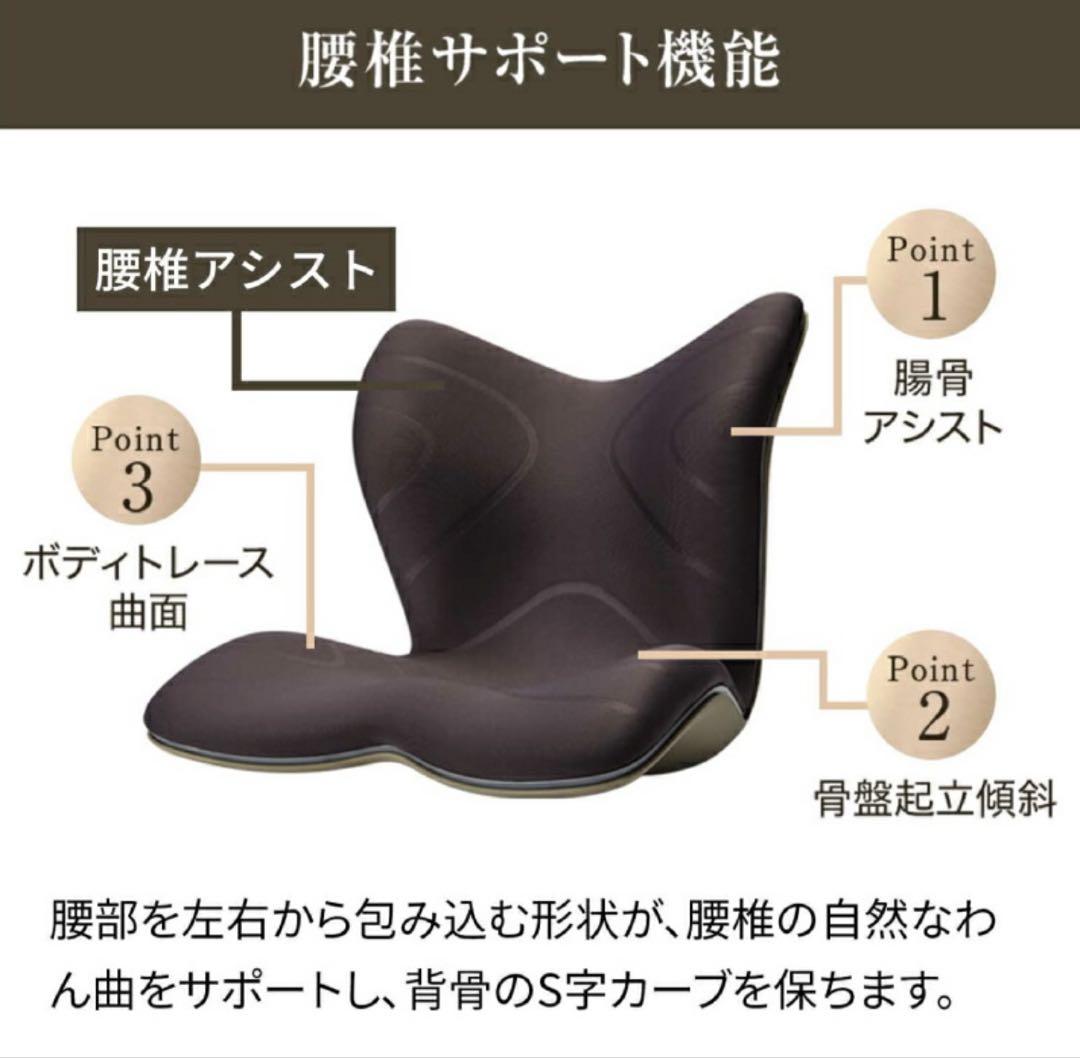 骨盤サポートチェアStyle PREMIUM スタイル プレミアム2MTG