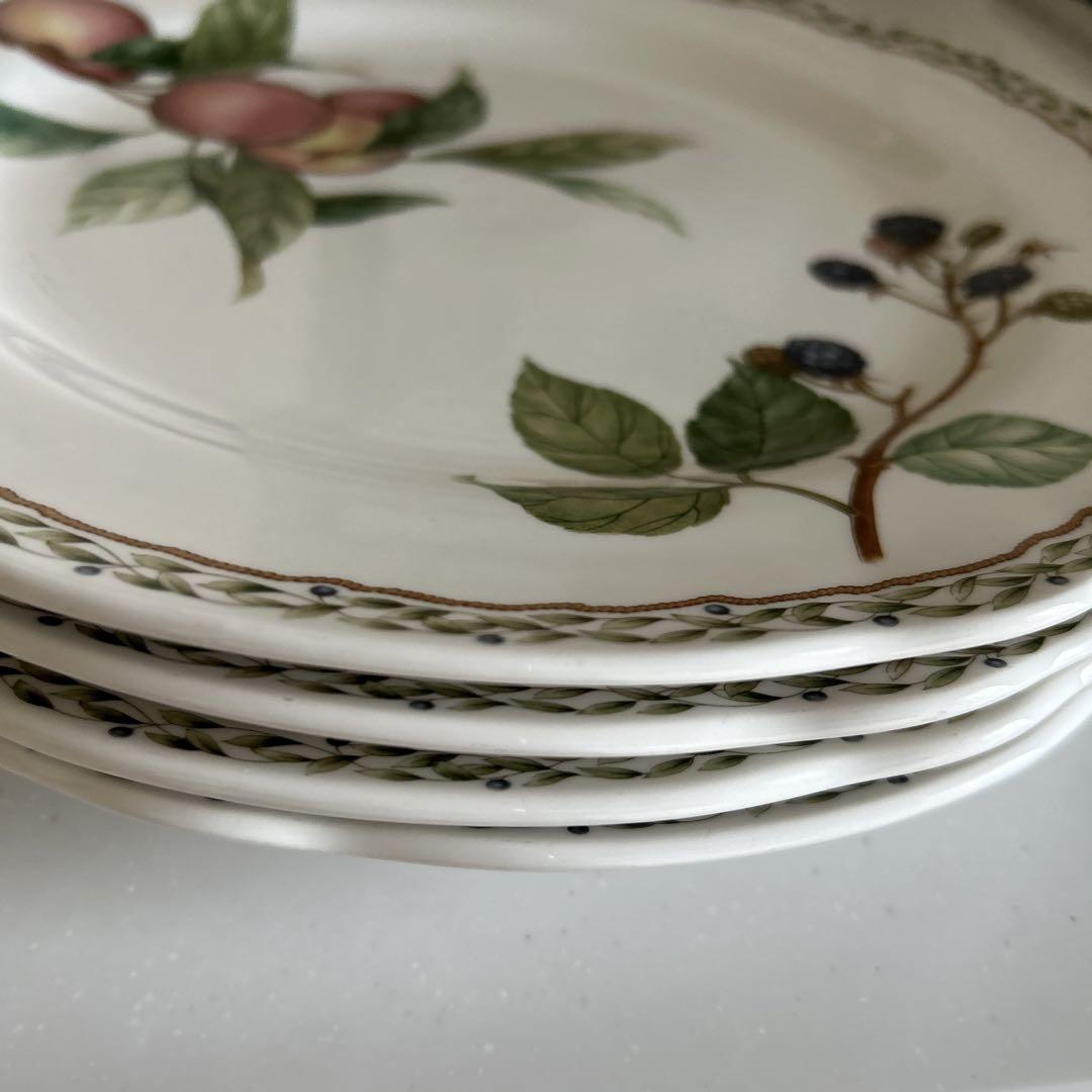 Noritake ロイヤルオーチャード ディナープレートセット 大4枚 中2枚 71feQffZQaL._UF350,350_QL80_.jpg