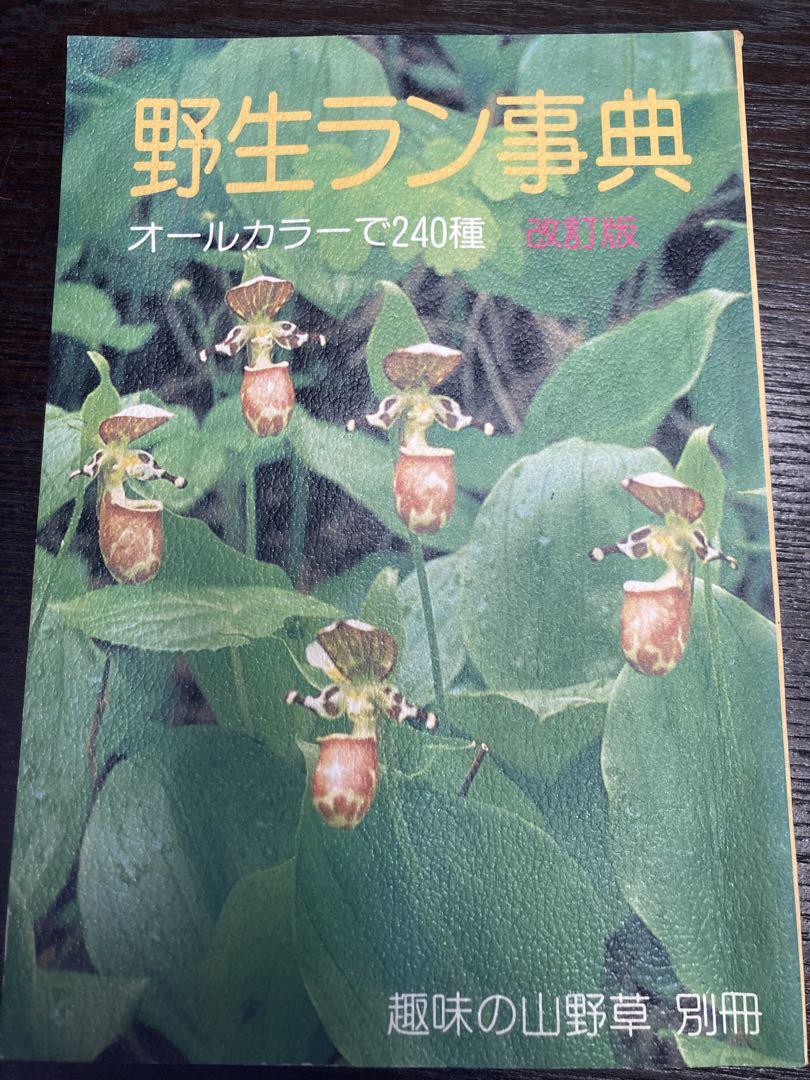 ゼット